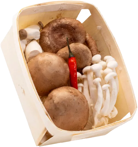 Champignon Soup Mix — real GMF photography