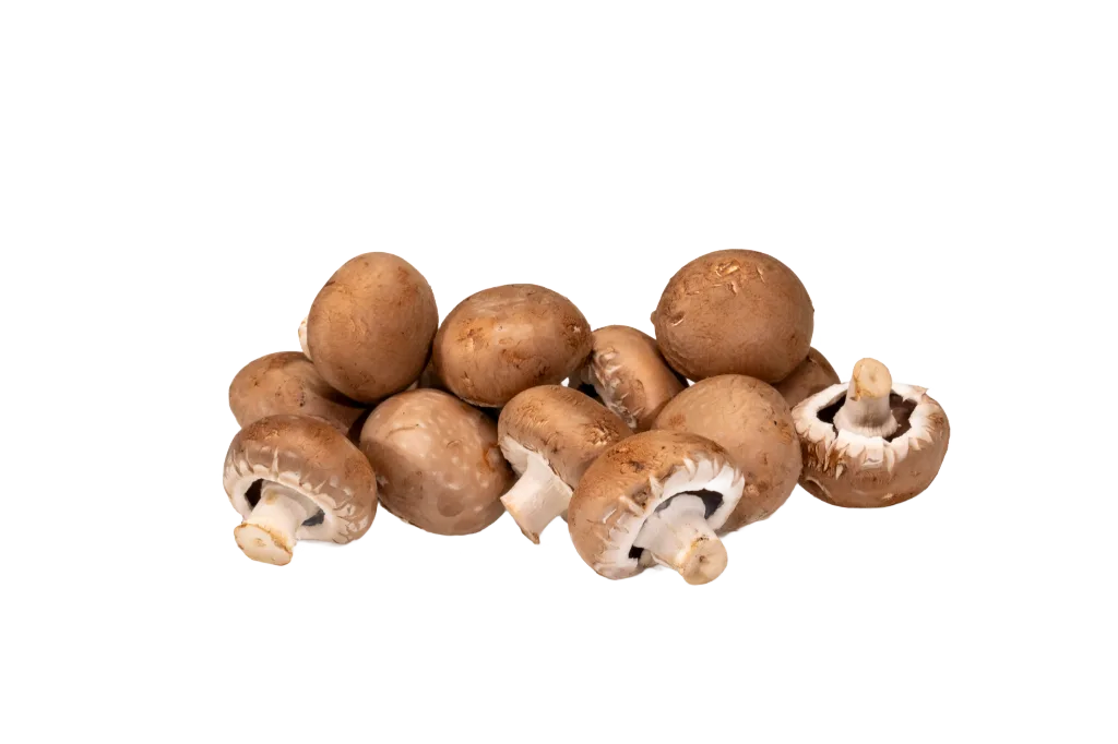 Chestnut Mushroom — real GMF photography