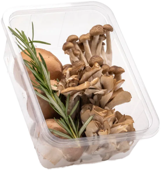 Asian Mix — real GMF photography