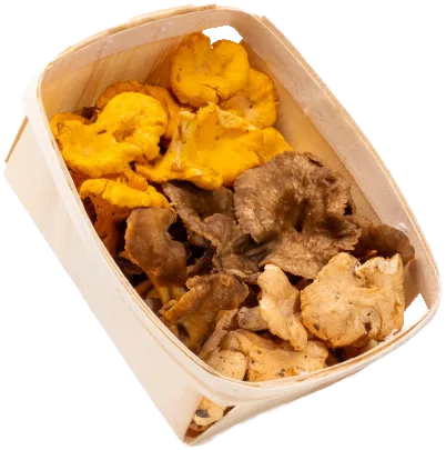 Wild Mix 250 g — real GMF photography