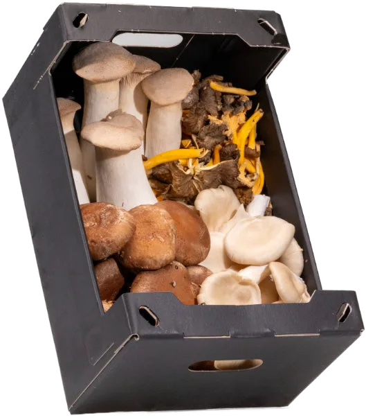 Pasta Mix 200 g — real GMF photography